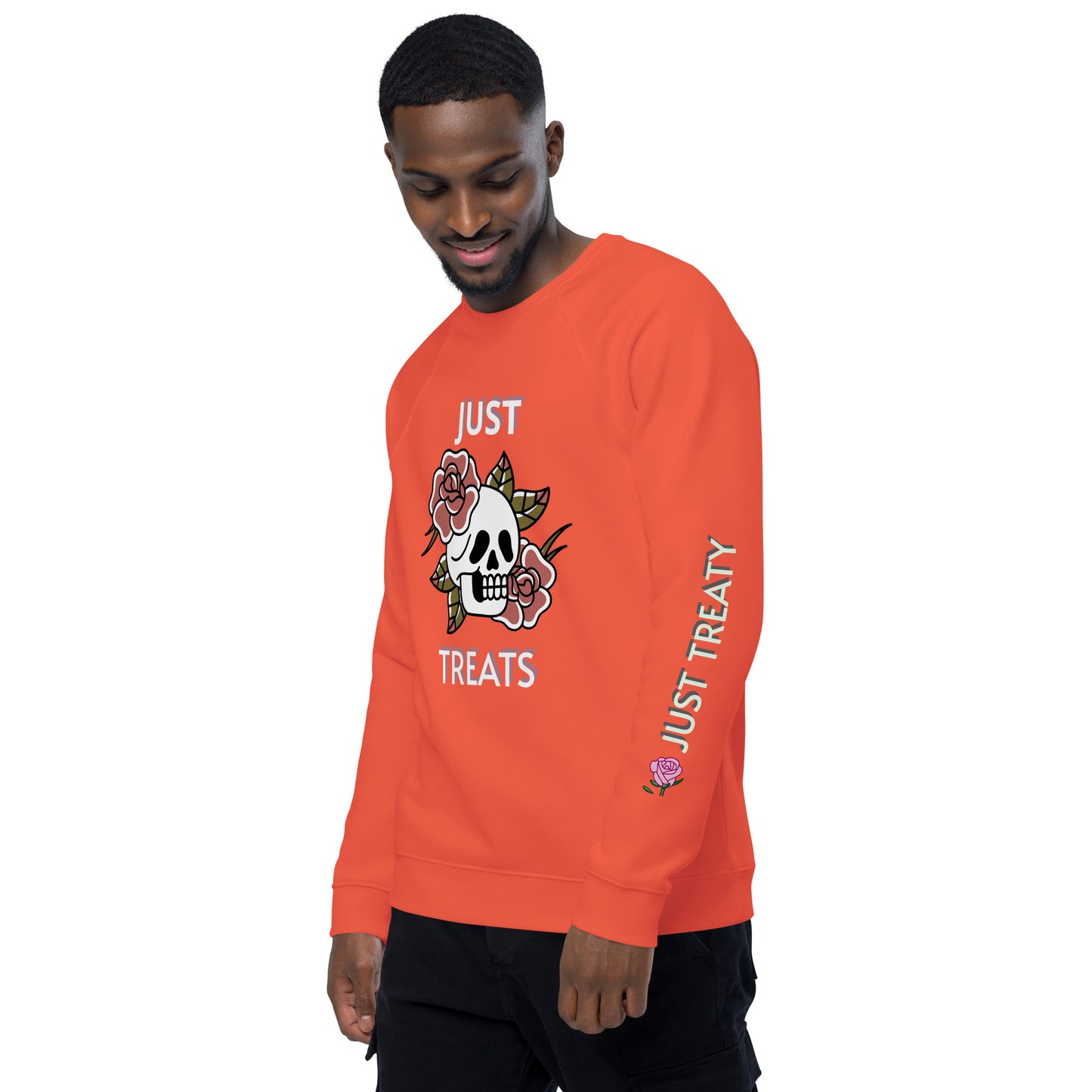Unisex Halloween Sweatshirt (NO TRICKS JUST TREATS)