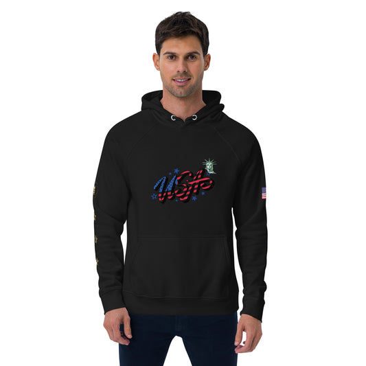 Unisex eco raglan hoodie (USA FLAG AND STATUE OF LIBERTY