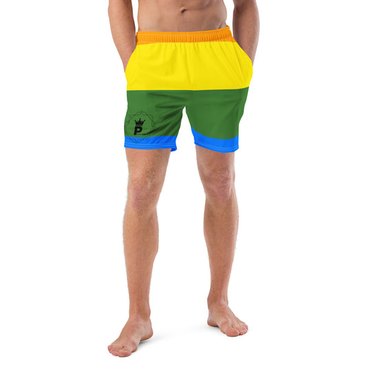 All-Over Print Recycled Swim Trunks - Logo (rainbow 1)