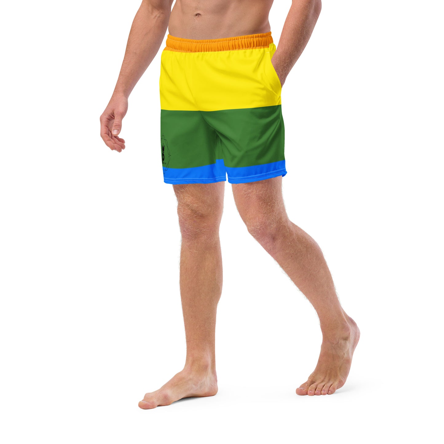 All-Over Print Recycled Swim Trunks - Logo (rainbow 1)